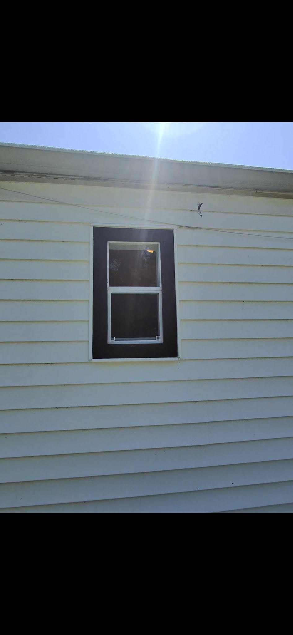 Dark-frame single-hung window replacement